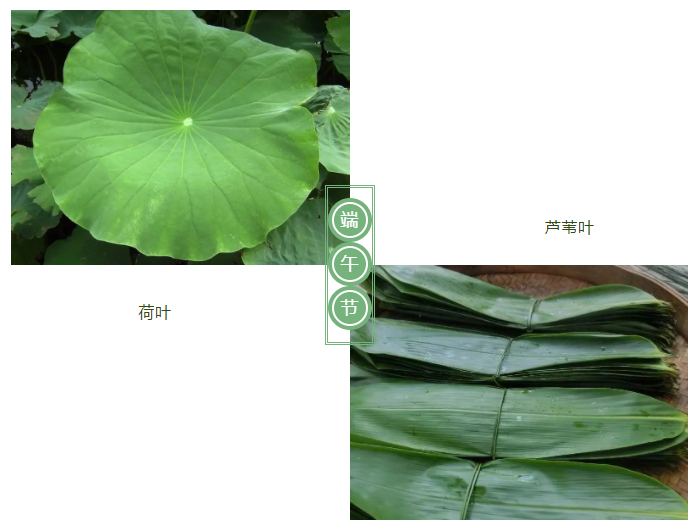征途国际pg医纺