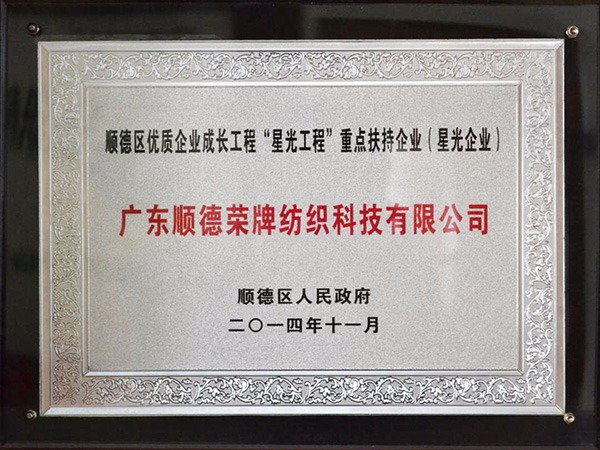 征途国际pg-2012年获顺德政府颁发“星光企业”称号