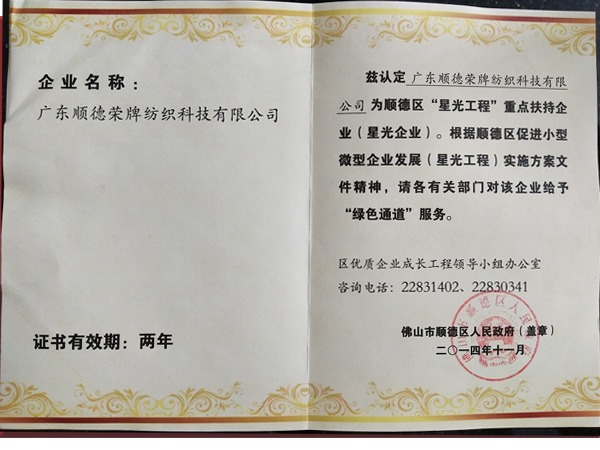 征途国际pg荣获政府重点扶持企业